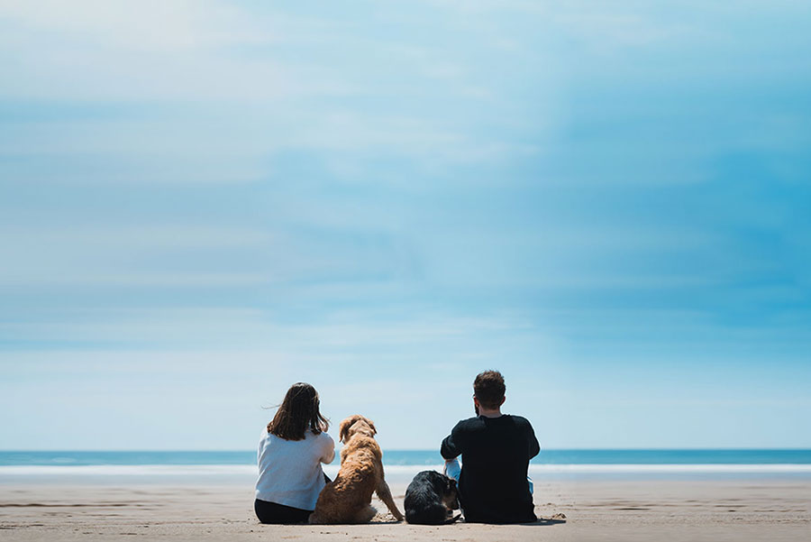 couple-and-dog-at-beach-2