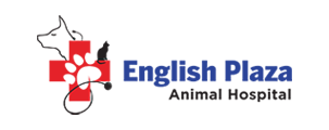 english-plaza-logo4