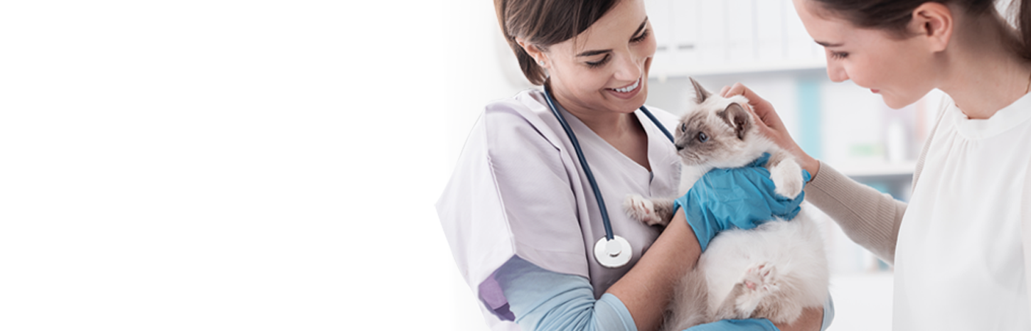 Specialized Vet Care