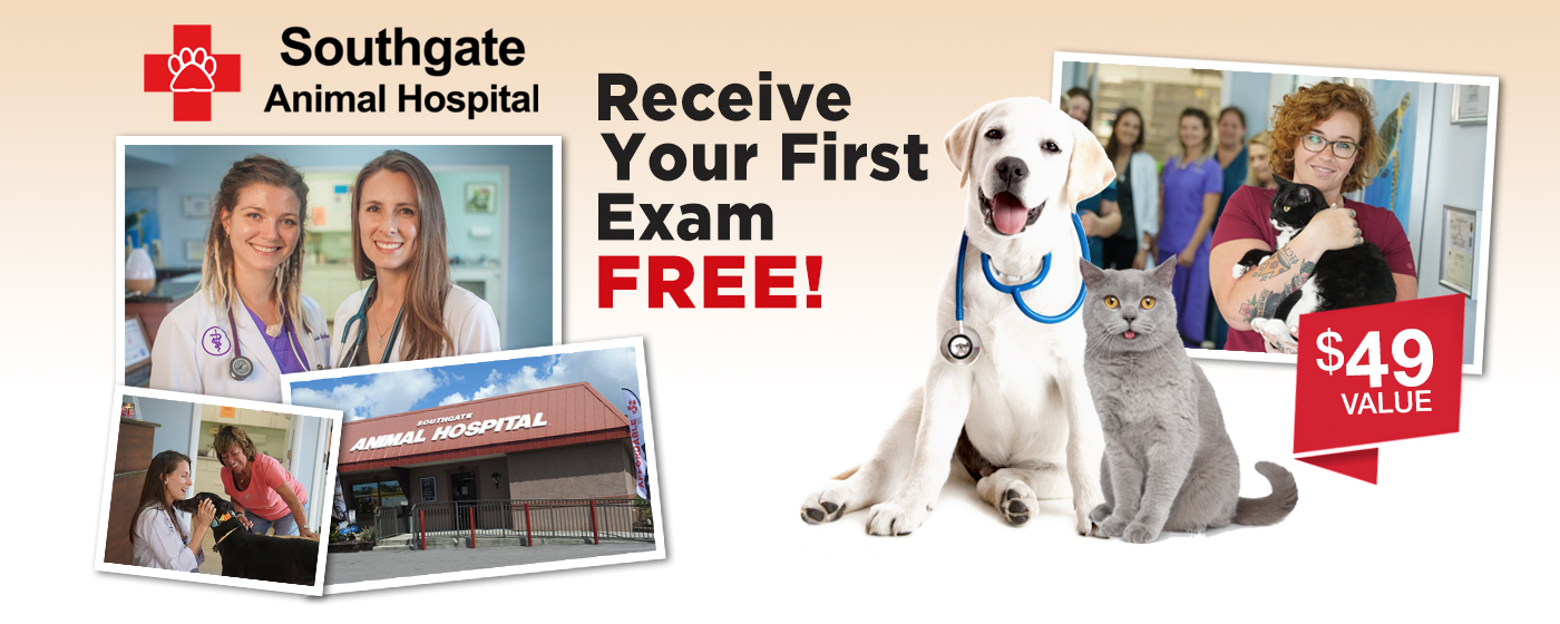 Southgate-Animal-Hospital-Free-First-Exam