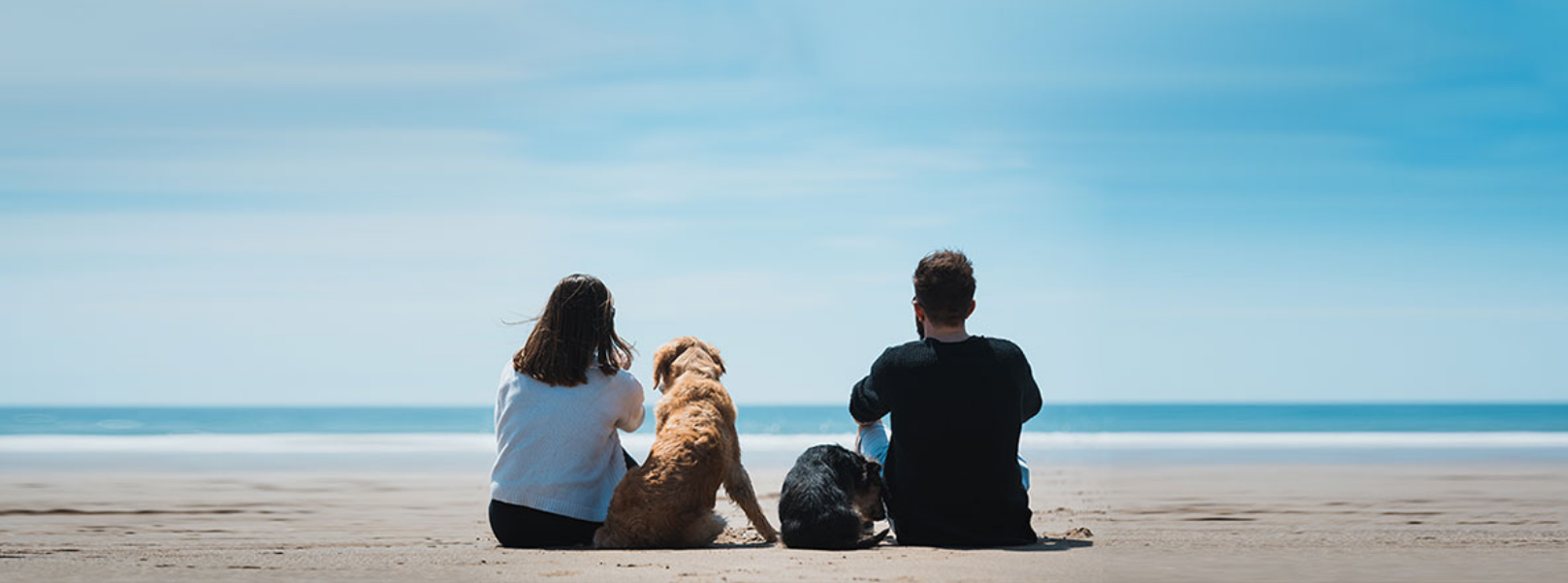 couple-and-dog-at-beach-banner