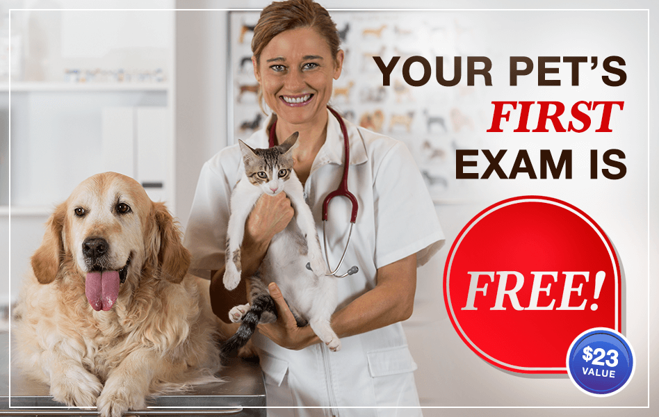 Your Pets First Exam Is Free