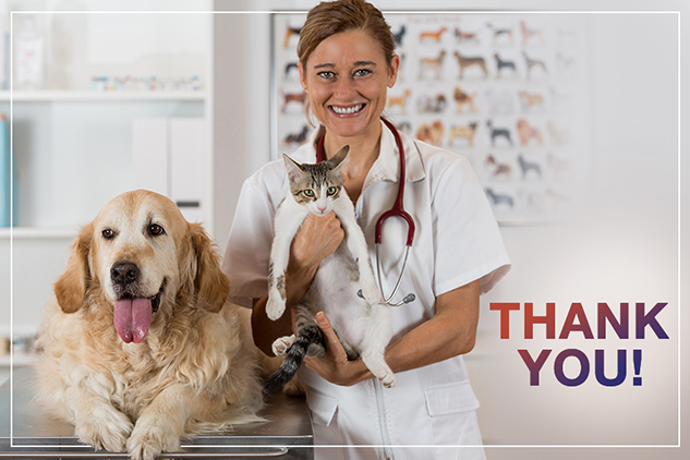 Your Pets First Exam Is Free – Thank You – Facebook